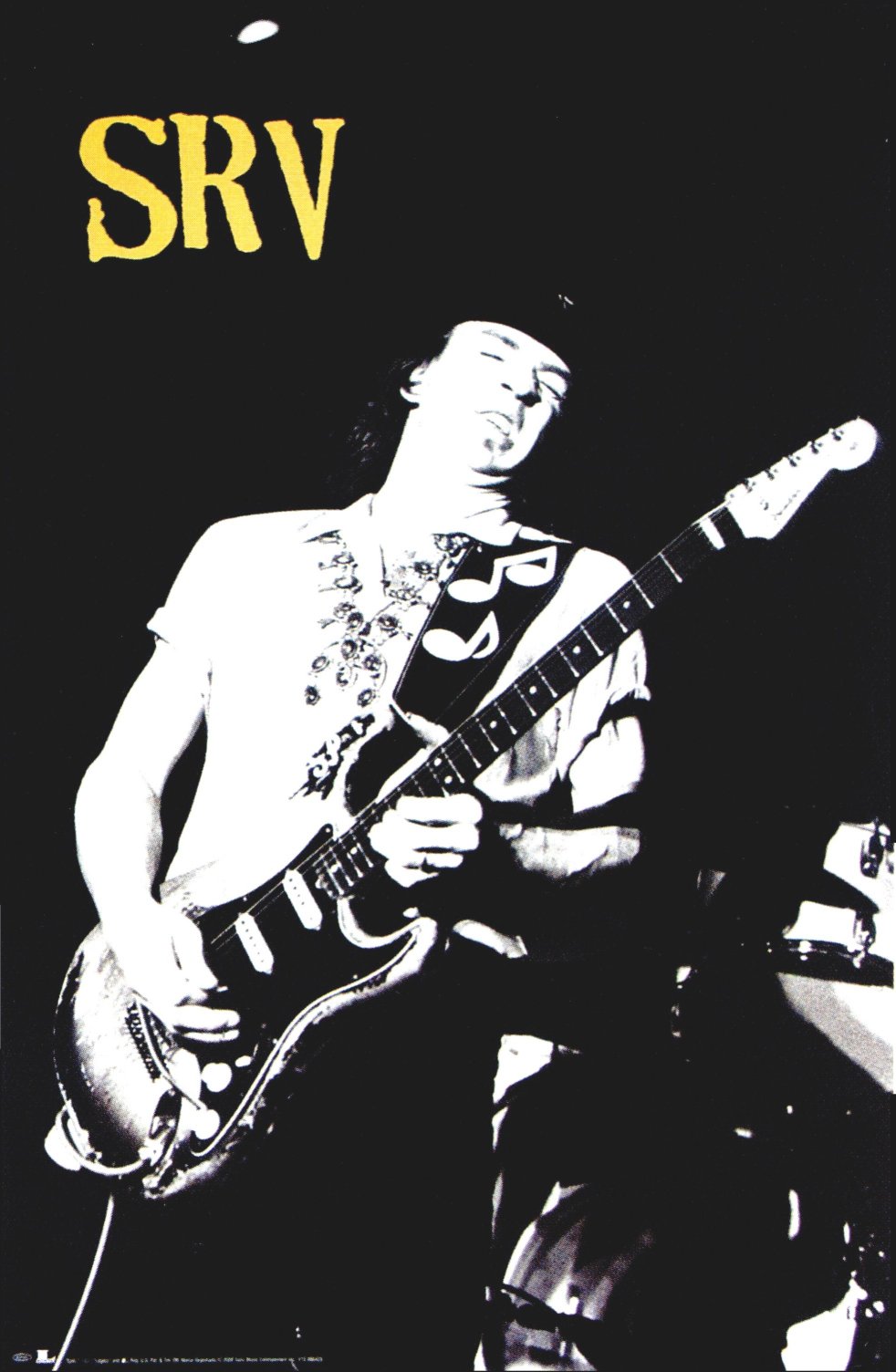 Essential Stevie Ray Vaughan Poster
