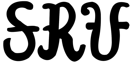 No 1 Stratocaster SRV Logo
