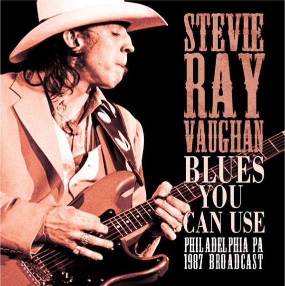 Stevie Ray Vaughan - Blues You Can Use